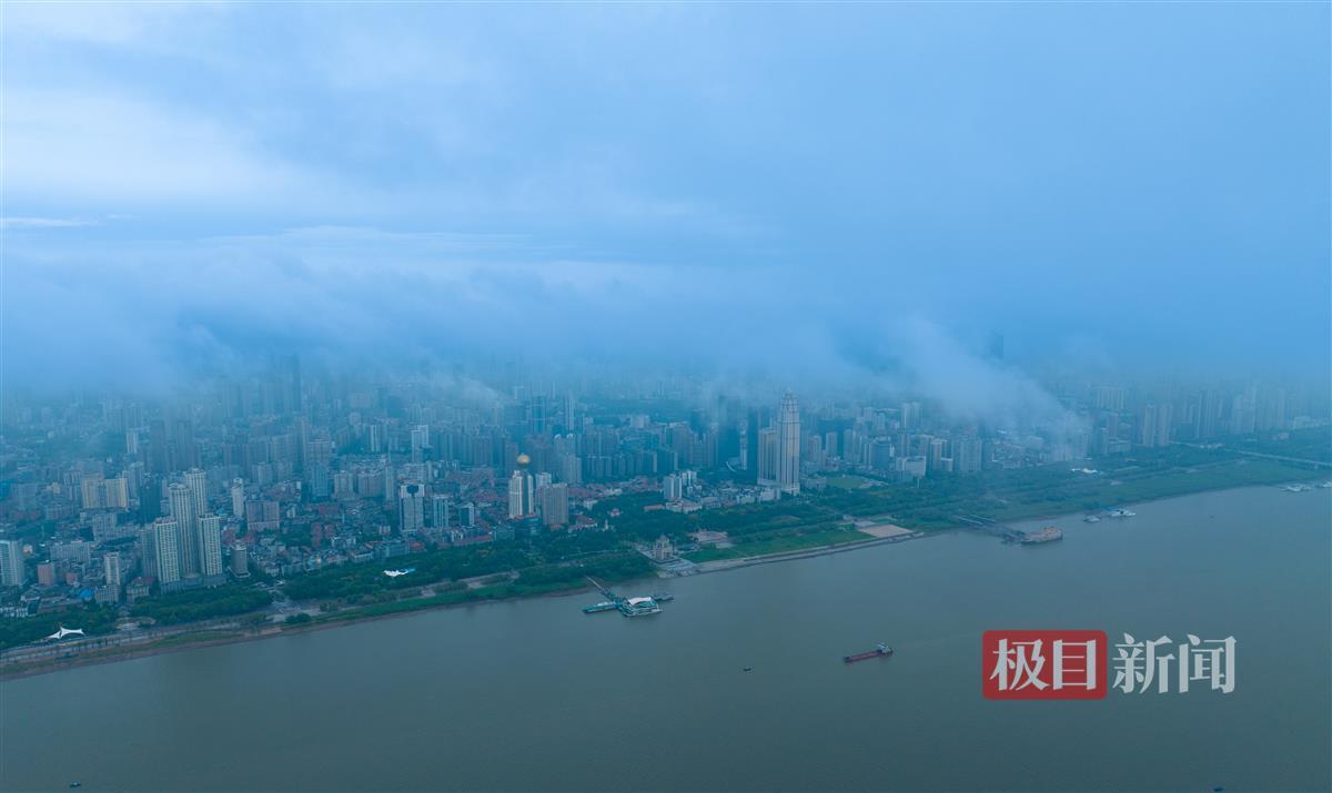 宝马 网址